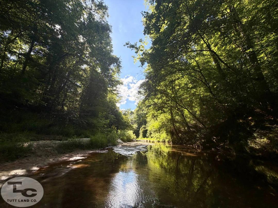 65.00 Acres at 1115 melton rd