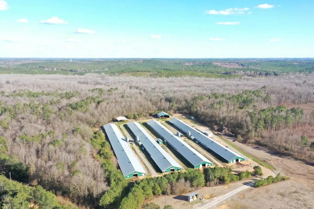 PRICE REDUCED - D&D Broiler Farm – Four House Farm in Pickens County, AL
