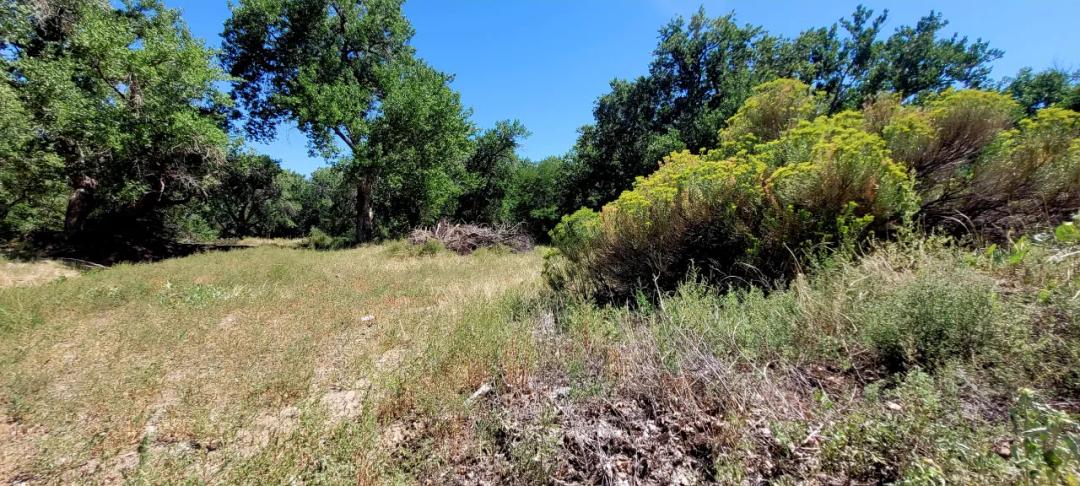Chandler Creek flows through property. Arkansas river 550'  * Borders Park lands