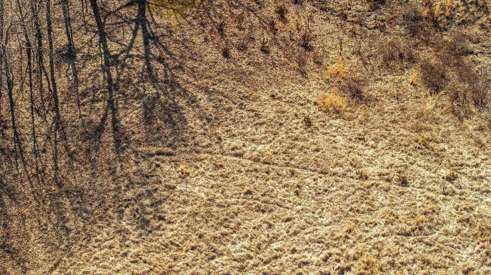 98455444-26