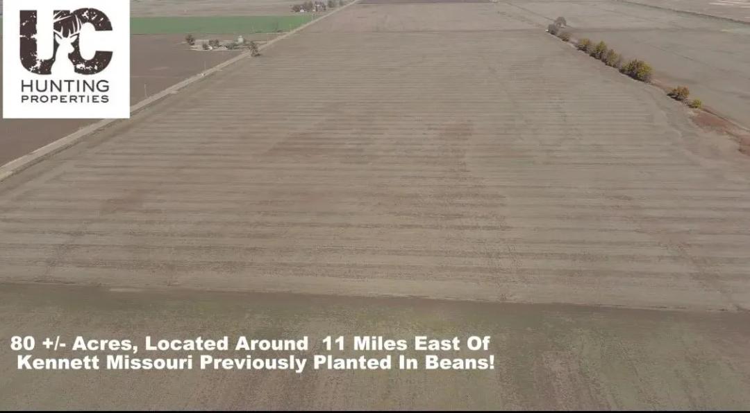 MO Farms Land For Sale at Auction