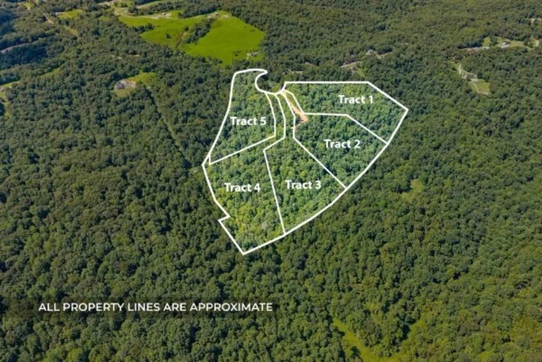 11.18 acres in Palmyra, TN