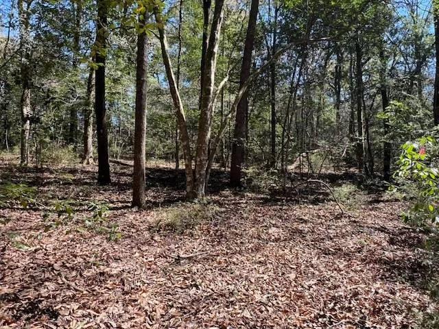 1.77 Acres Vacant Land on Wright's Creek