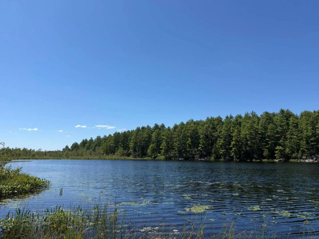 PRIVATE LAKE &amp;quot;OWN YOUR OWN 30 ACRE PRIVATE LAKE&amp;quot;