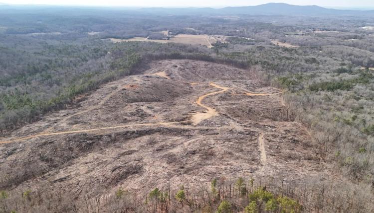 83.07 Acres at 0 Southridge Lane
