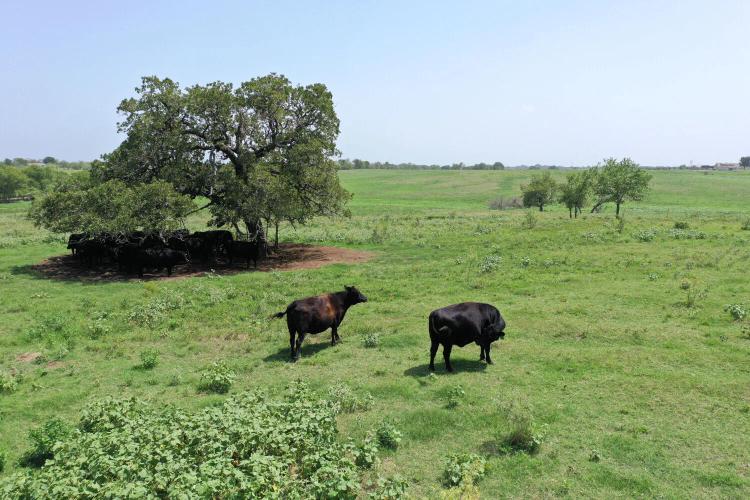 144.00 Acres at 0 CR 4055