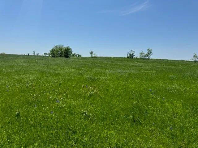 98502476-28