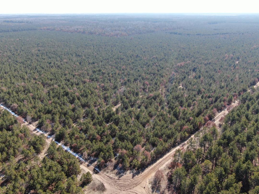 Town of Rome 80 acre timber lot for sale in Adams County WI