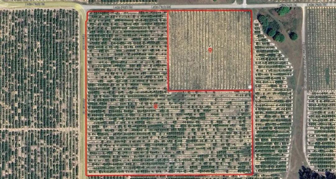 38.5 Acres in Lake Wales Citrus grove & Homesite Potential