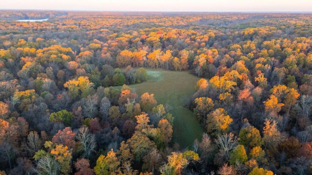 Endless Acres Wildlife Farms South