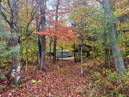 Forestport Fuller 13