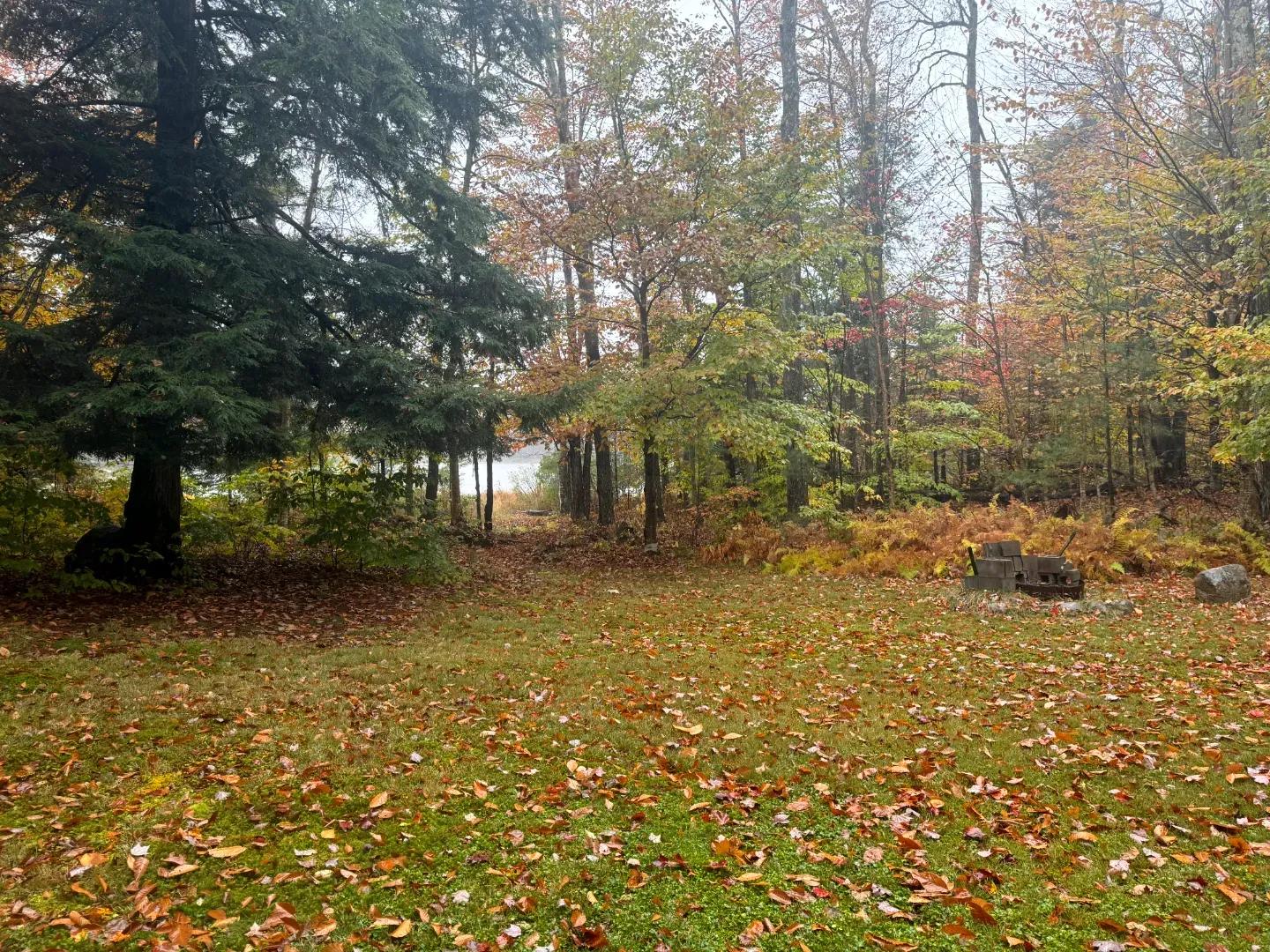 Forestport Fuller 14