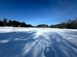 Forestport Fuller 15