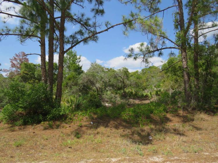 Lot in Sun N Lakes of Lake Placid.  Invest in the future!