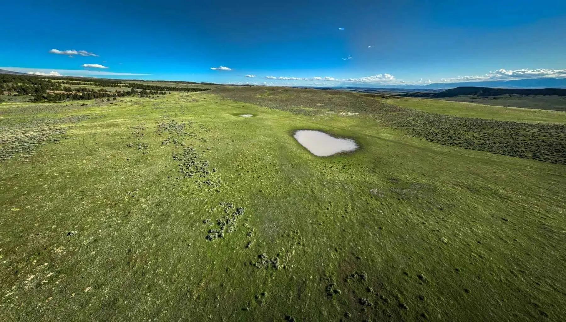 98537326-16
