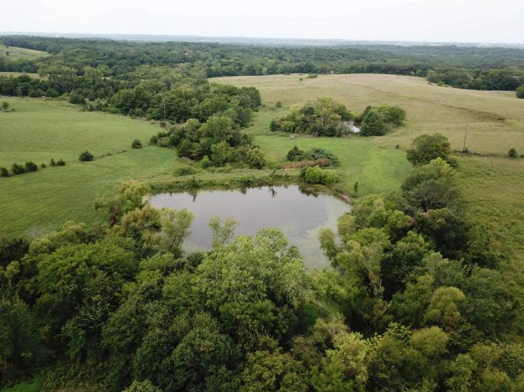 Perfect Blend of Investment and Recreation
