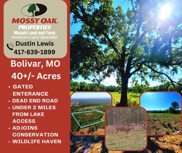 Bolivar property near Pomme De Terre Lake