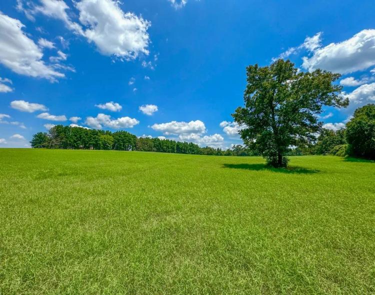 22 Acres | 534 Deer Meadows Road