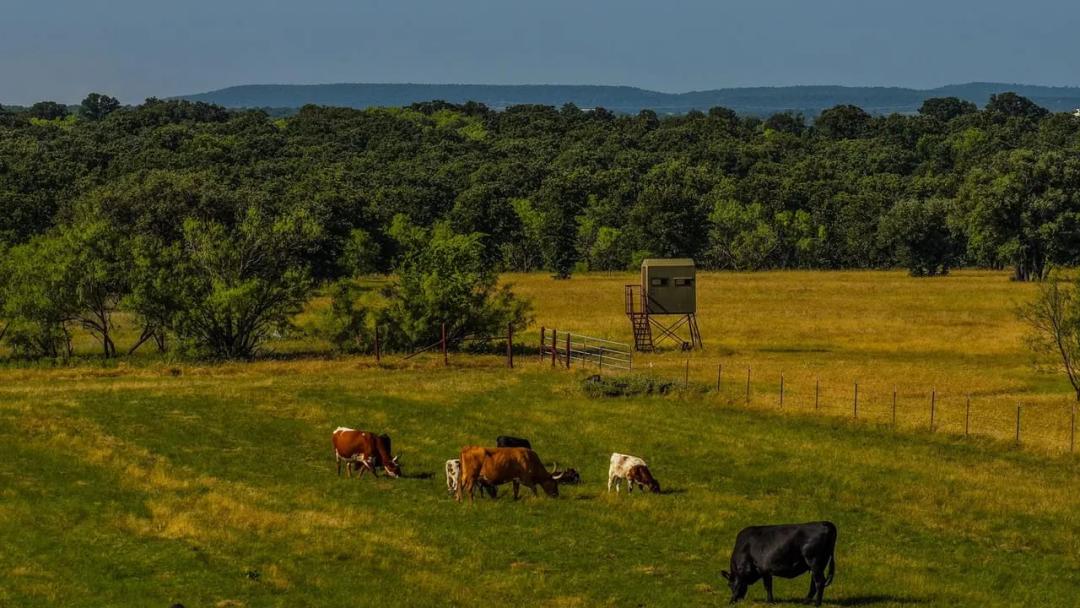 North Fork Ranch