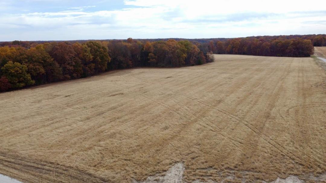 22.38 Acres at 0000 Polston Ln