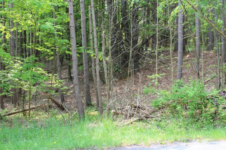 9 acre Wooded Country Land Outside Binghamton NY