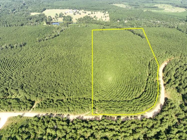 27 Acres | Shady Grove Road (CR 2175) | T-4 | 287023