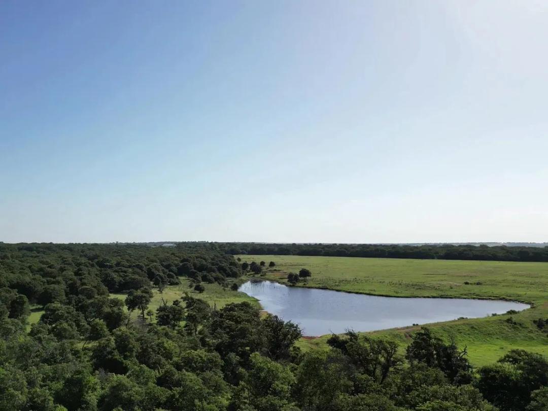 Hunting Ranch For Sale, 160 ± Acre, Bray, OK, Stephens Co.