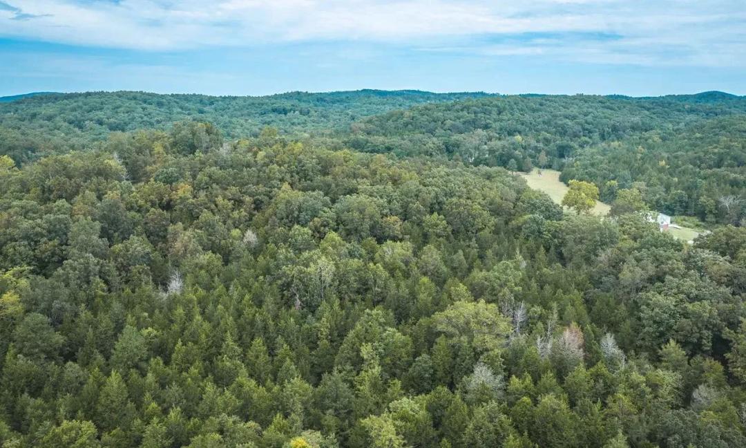 Adkins Hollow Tract 2
