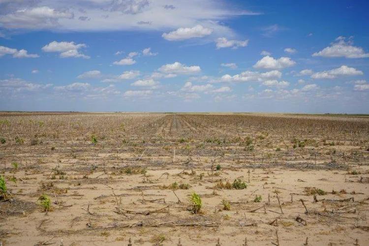 445± ACRES CRP &amp; CROPLAND - GREELEY COUNTY, KS