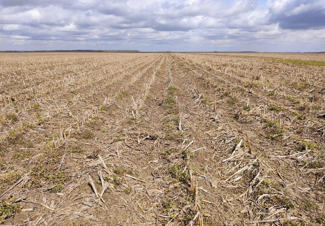 160.00 Acres at 160 acres: NW1/4 of Sec 20, T19N R12E East C