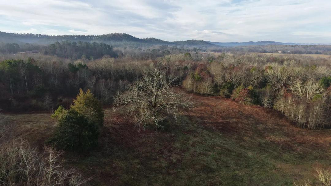 9.57 Acres [Tract 9] in Montgomery County, AR