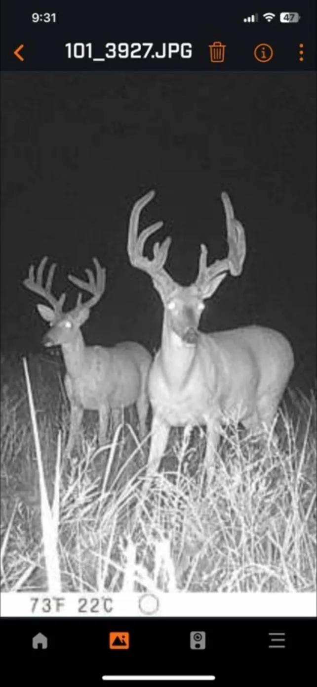 Recreational or Home build site paradise