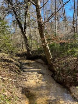 TRASK RD PIC 1