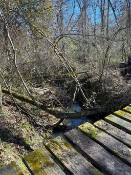 Trask Pic 14