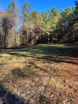 Trask Pic 15