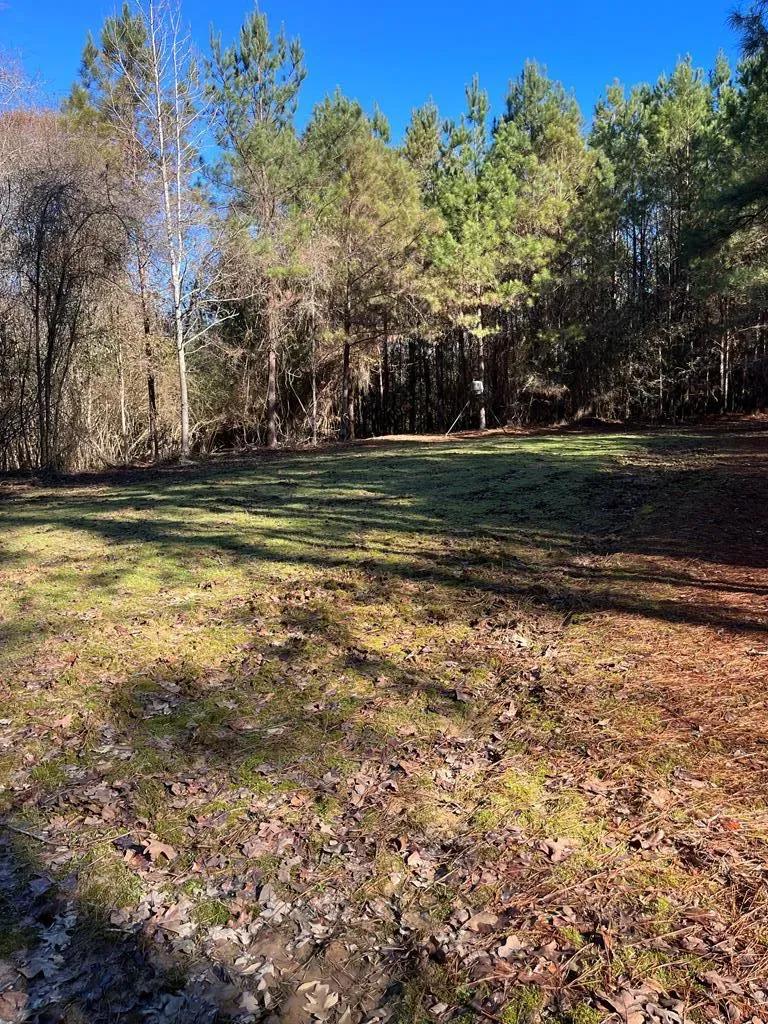 Trask Pic 15