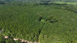 dji_fly_20240729_095342_0052_1722343924341_photo