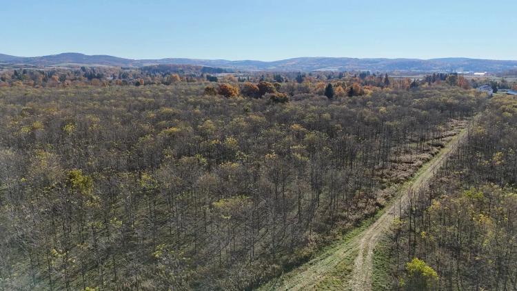 265 acre Land with Black Walnut Trees Waterville NY