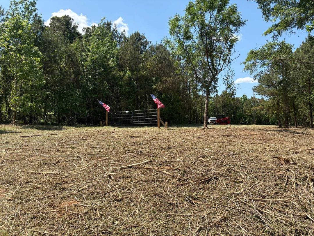 Piney Woods Mini Farm - 19± Acres | Hale County, AL