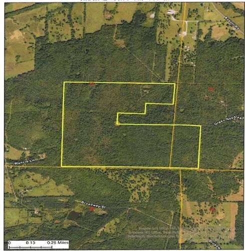 166 acres TIMBER/HUNTING RETREAT in Scott County
