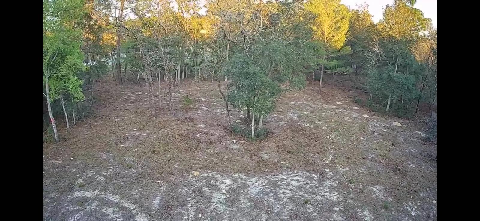 98723985-4