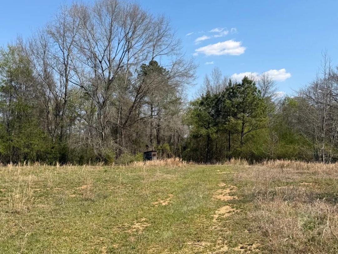 65.70 Acres at 0 Highway 129