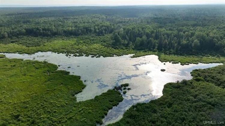 Parcel A-1 40 Acres 50160010