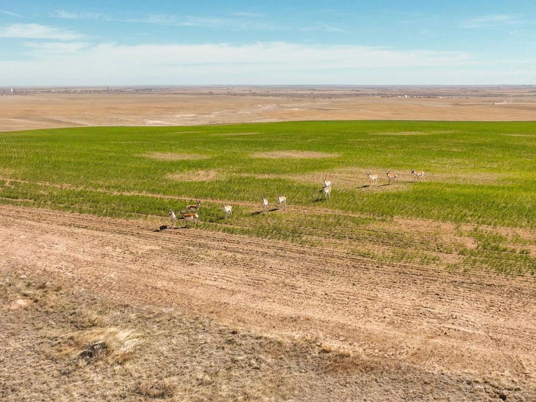 640 Acres - Strasburg, CO - Arapahoe County