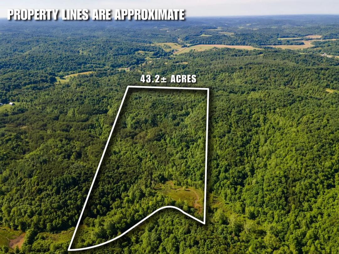 St Rt 141 Parcel 3 - 42 acres