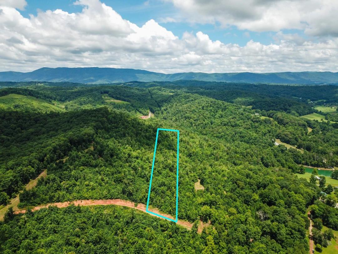 Lot 7 Norris Lake