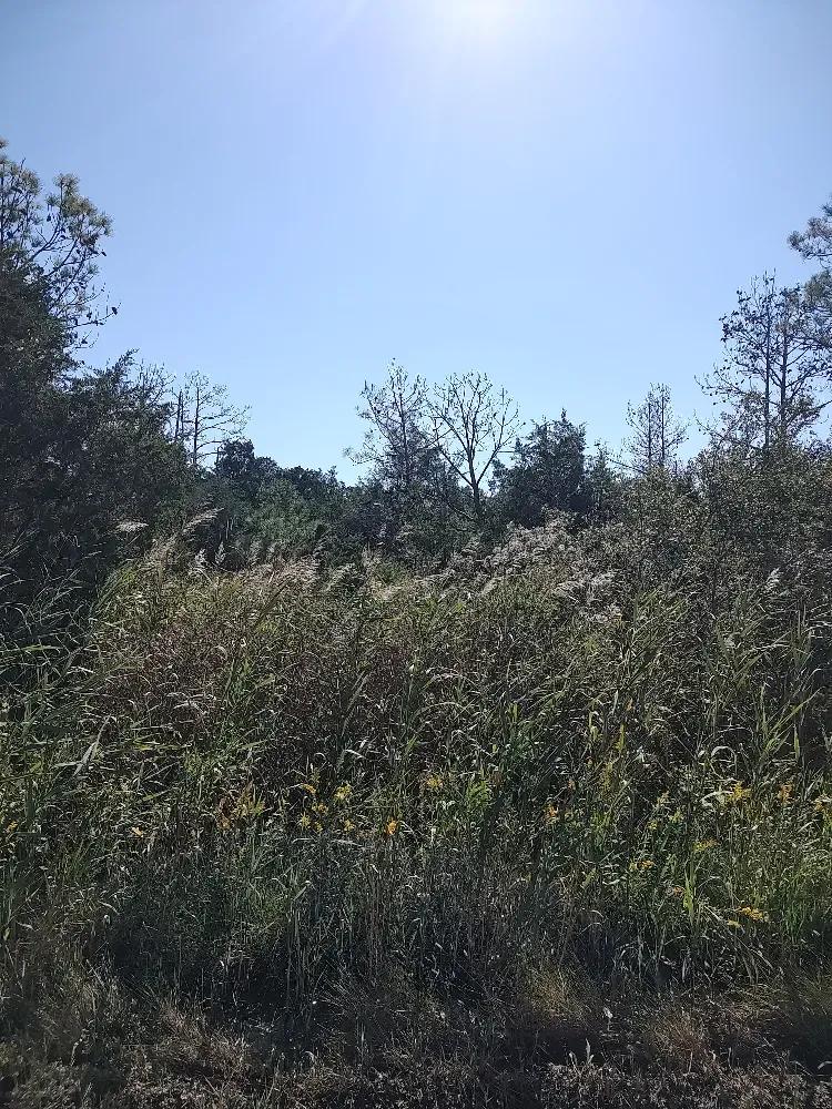 4.57 Acres in Eastern North Carolina