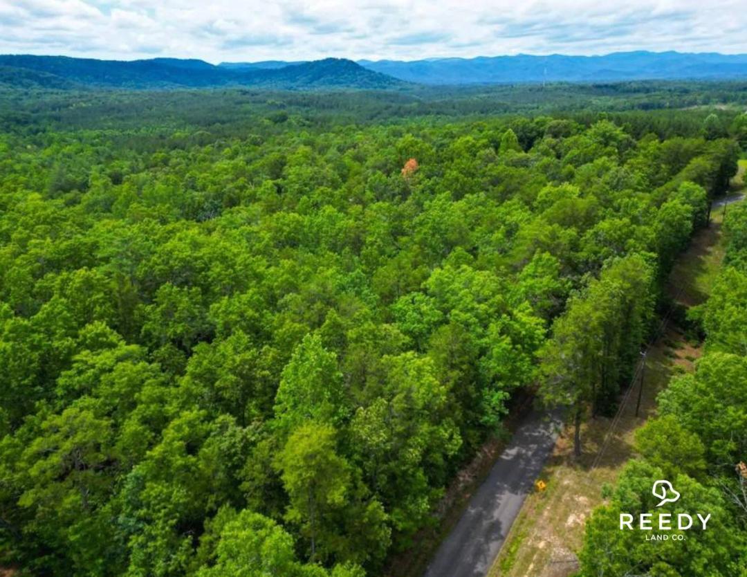 ±5 Acre Residential Tract - 0A Todd Bridge Road