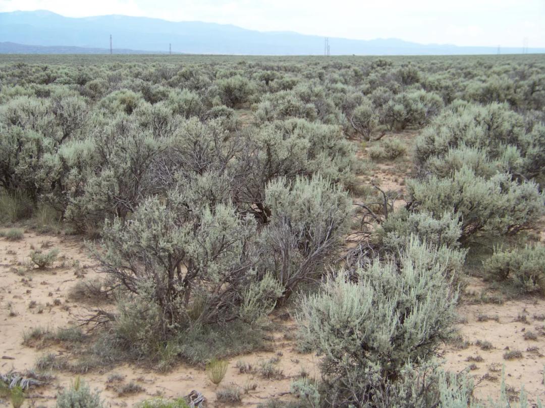 2.25 acres on Black Mesa Ojo  near Caliente New Mexico. Camp RV Build