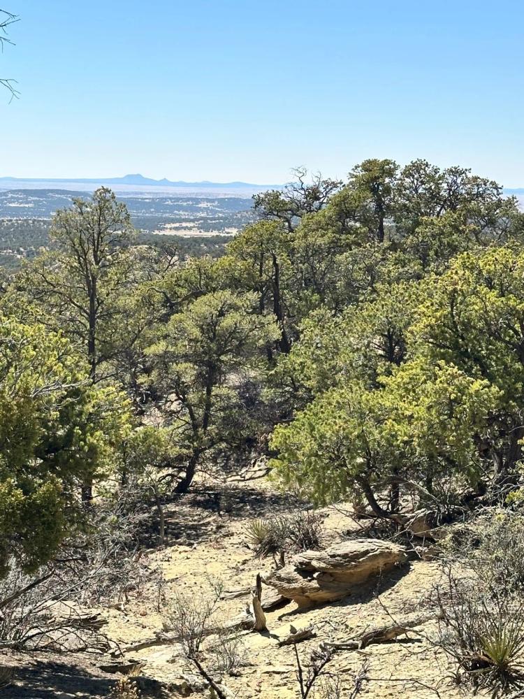 28.75 Acres at 27 N Ranchero
